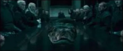 Dans la deuxième partie du 7, dans le combat ultime de Harry et Voldemort, un personnage de la saga tue le serpent. Qui est-ce ?