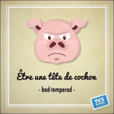 Ne nous moquons pas ! En France aussi ça existe !
Par exemple, de quel nom ne peut-on pas baptiser son cochon ?
