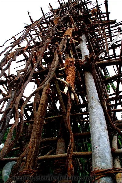 Dans la ville indienne de Solapur, une organisation religieuse a inventé une fête annuelle pendant laquelle on lance ... depuis une tour de 15 mètres. Mais que lance-t-on ?