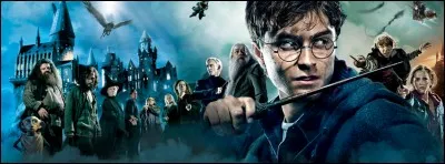 Harry Potter est le livre français le plus vendu au monde.