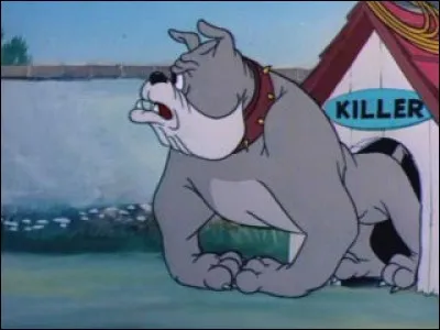 Comment s'appelle ce gros chien ?