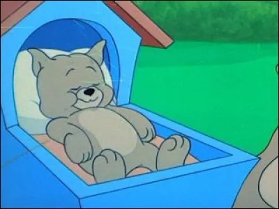 Comment s'appelle le fils de Spike ?