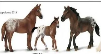 Quel est le nom de la ravissante petite famille ?