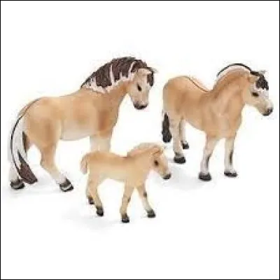 Quel est le nom de la petite famille ci-dessus ?