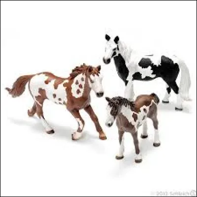 Quel est le nom de cette famille ?