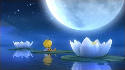 Les Mille et Une Nuits sont...