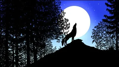 Quels animaux hurlent la nuit ?