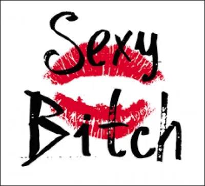 Quel est le titre soft du single de David Guetta "Sexy Bitch" (2009) ?