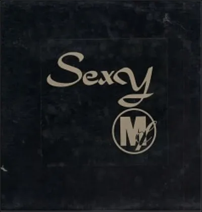 En 1992, Prince sortait le titre "Sexy MF" mais qu'entendait-il par "MF" ?
