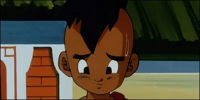 Dans "Dragon Ball Z", qui est la réincarnation humaine de Majin Boo ?