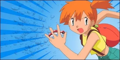 Dans "Pokémon", qui accompagne Sacha et Pierre dans leurs aventures ?