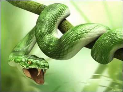 Le plus long serpent mesure 20 mètres.