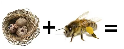 Quelle est la bonne réponse ?