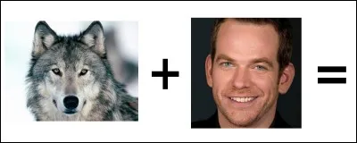 Quelle est la bonne réponse ?