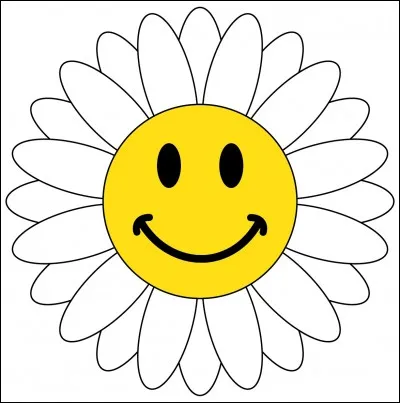 En quoi s'est déguisė ce smiley ?