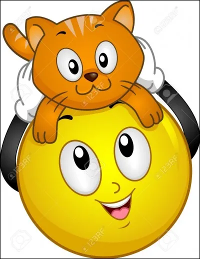 Qu'a ce smiley sur la tête ?