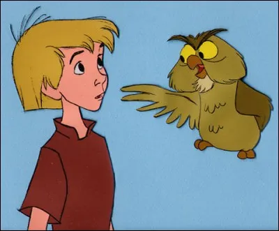 Merlin l'Enchanteur, qui a pris Moustique (en réalité Arthur, fils du roi) sous son aîle pour l'éduquer, le transforme en oiseau pour lui apprendre à voler. Mais quel oiseau ?