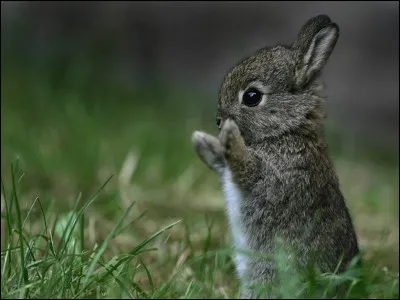 En météorologie, unité mesurant la couverture nuageuse du ciel ou nébulosité :