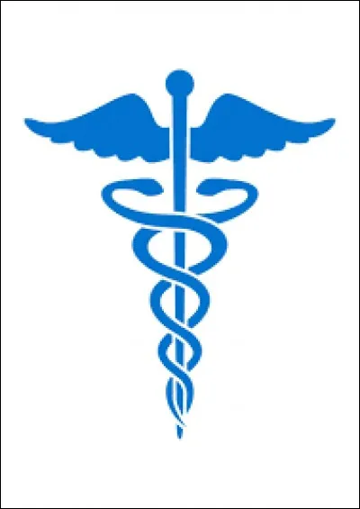 Parmi les artistes suivants, lequel n'a pas fait des études de kinésithérapie ?