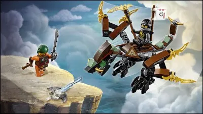 Comment s'appelle le ninja noir ?