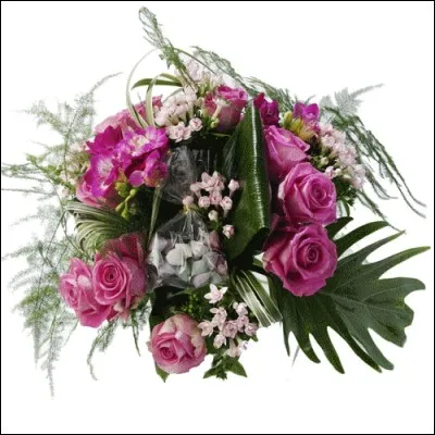 Vieux coup de griffes.