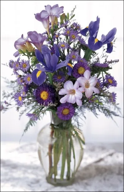 Est vidée après avoir tiré un coup.