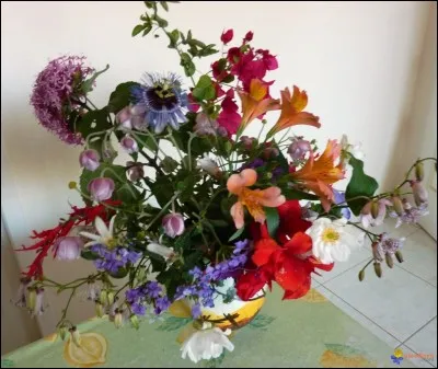 Tombe à la suite d'un coup de pompe.