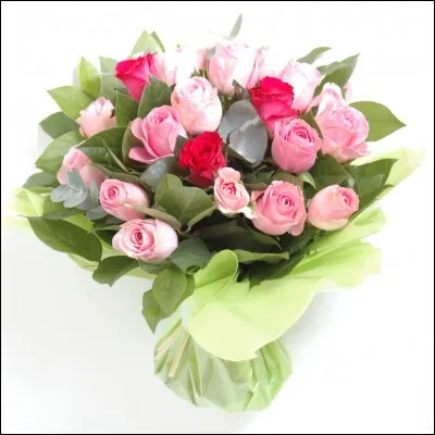 Donne des coups de fouet.