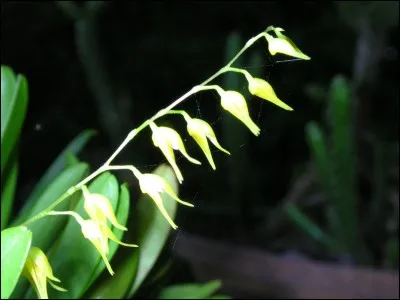 Quelle couleur pour exprimer la pureté et l'espoir !