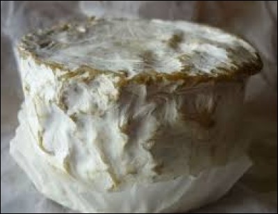 C'est un lait entier qui sert à sa fabrication et on trouve ce fromage onctueux entre Aube et Yonne. De quel bovin provient le lait ?