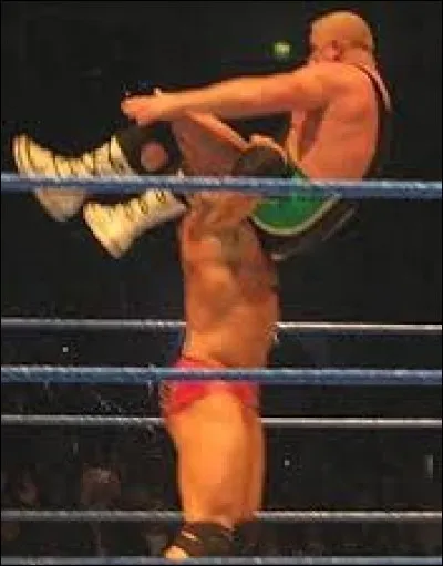Qui a utilisé un powerbomb sur RVD alors qu'il était positionné sur l'échelle ?