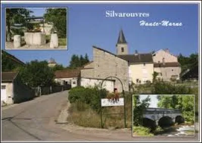 Petit village Haut-Marnais de 43 habitants, Silvarouvres se situe dans l'ancienne région ...