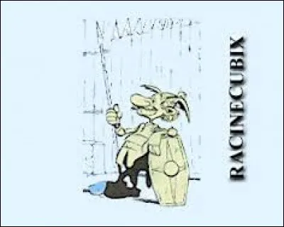 Gardien de son village, Racinecubix est un personnage de l'album ...