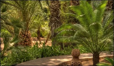 Comment était le jardin dans le titre d'un roman de Cronin ?