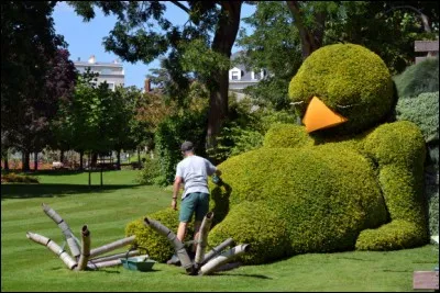 Si vous avez beaucoup d'erreurs sur ce quiz, rassurez-vous, car comme disait le jardinier....