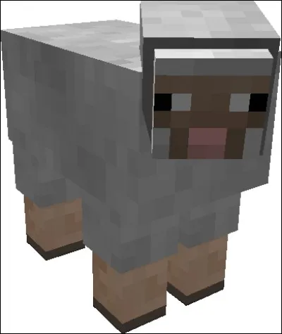 Comment faut-il renommer un mouton pour qu'il soit multicolore ?