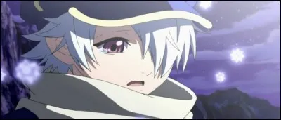 Quel est le nom du jeune héros de "Tegami Bachi - Letter Bee" ?