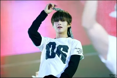 Quelle pratique maîtrise-t-il ?