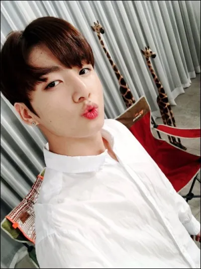 Quel est son modèle dans le groupe BigBang ?