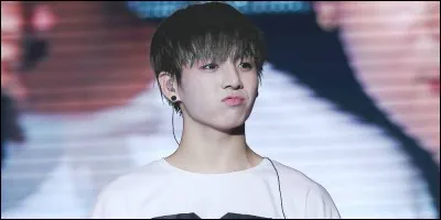 Jungkook est fan du groupe EXO. Quel est son membre préféré ?