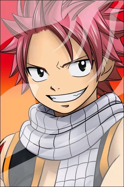 Qui aime Natsu ?