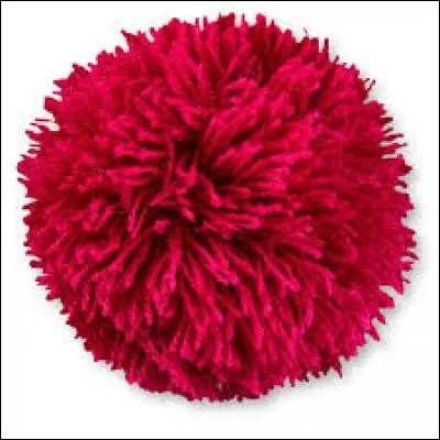 Choisis le mot correspondant à l'image.