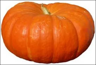 Choisis le mot correspondant à l'image.