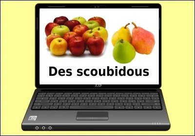 Quelle est la bonne réponse ?