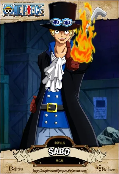 Qui a repris le pouvoir d'Ace (feu) ?