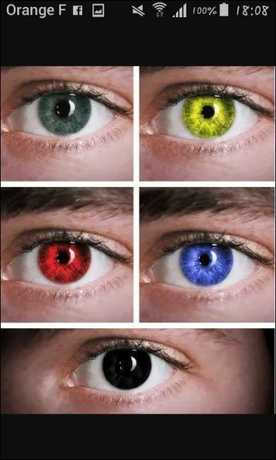 Quelle est ta couleur préférée ?