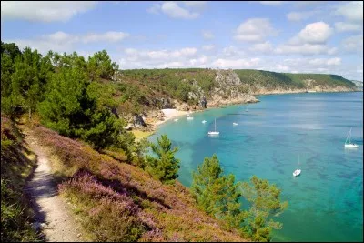 Réunion ou Bretagne, choisissez