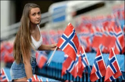 "N" comme "Norvège". Désigner la ville n'étant pas située dans cette nation scandinave :