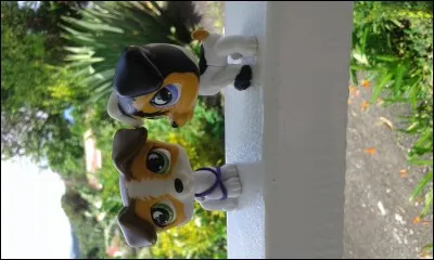 Sa race animale préférée :