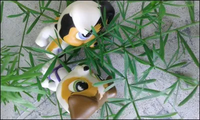 Dans quel pays habite-t-elle ?